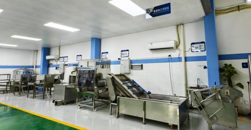 技術(shù)賦能，智造未來(lái)——廣東省農(nóng)裝院引領(lǐng)水產(chǎn)養(yǎng)殖與加工新趨勢(shì)